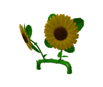 Sunflower Headband - KoGaMa