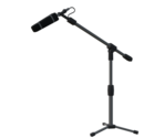 Boom Mic - Rec Room