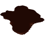 Bloodstain - Vagrant Story