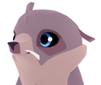 Fur Seal - Animal Jam: Play Wild!