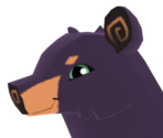 Black Bear - Animal Jam: Play Wild!