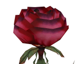 Cursed Rose - Dark Cloud 2