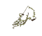 Vault 22 Plants - Fallout: New Vegas