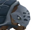 Turtle - Dark Cloud 2