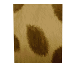 269 - Furred Wall - Monster Rancher DS