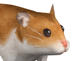 Golden Hamster - Hamsterz 2