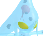 Chaos - Sonic Rumble Party