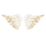 Angel Wings - Pen Pen TriIcelon