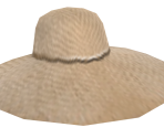 Sun Hat - Backyard Wrestling 2: There Goes the Neighborhood