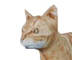 Cat - Legend: Hand of God