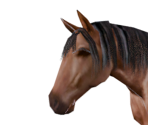Horse - Legend: Hand of God