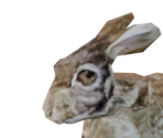 Rabbit - Legend: Hand of God