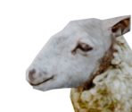 Sheep - Legend: Hand of God