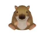 Wild Boar - Minna no Ennichi (JPN)