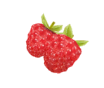 Raspberry - Minna no Ennichi (JPN)