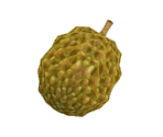 Durian - Minna no Ennichi (JPN)