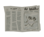 Newspaper - Crushed In Time