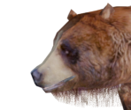 Bear - Legend: Hand of God