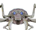 Scarab - Legend: Hand of God