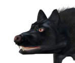 Wolf - Legend: Hand of God