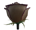 Dried Rose - LittleBigPlanet 3 (Prototype)