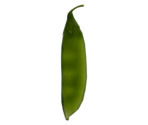 Greenbean - LittleBigPlanet 3 (Prototype)