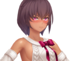 Clone Yukikaze (That Sweater) - Action Taimanin
