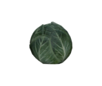 Vegetables - Wolfenstein II: The New Colossus