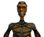 Early Stalker - Half-Life 2 (Prototype)