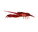 Fish #9 - Crayfish - StreetPass Mii Plaza