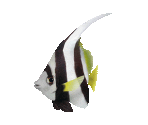 Fish #28 - Pennant Coralfish - StreetPass Mii Plaza