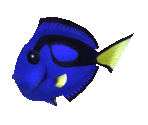 Fish #37 - Blue Tang - StreetPass Mii Plaza