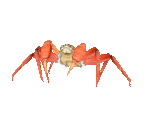 Fish #43 - Snow Crab - StreetPass Mii Plaza