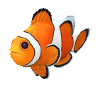 Fish #46 - Clownfish - StreetPass Mii Plaza
