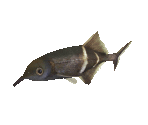 Fish #52 - Elephantnose Fish - StreetPass Mii Plaza