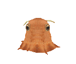 Fish #59 - Flapjack Octopus - StreetPass Mii Plaza
