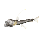 Fish #61 - Viperfish - StreetPass Mii Plaza