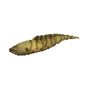 Fish #80 - Moray Eel - StreetPass Mii Plaza