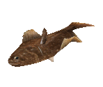 Fish #86 - Flounder - StreetPass Mii Plaza