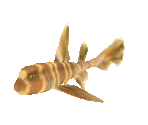 Fish #92 - Japanese Bullhead Shark - StreetPass Mii Plaza