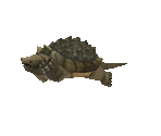 Fish #94 - Alligator Snapping Turtle - StreetPass Mii Plaza
