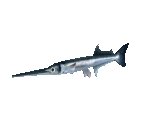 Fish #96 - Garfish - StreetPass Mii Plaza