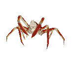 Fish #100 - Japanese Spider Crab - StreetPass Mii Plaza