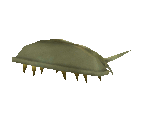 Fish #110 - Horseshoe Crab - StreetPass Mii Plaza