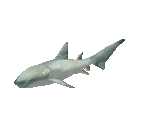 Fish #127 - Tawny Nurse Shark - StreetPass Mii Plaza