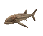 Fish #135 - Leedsichthys - StreetPass Mii Plaza