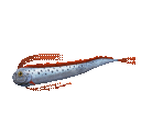 Fish #145 - Giant Oarfish - StreetPass Mii Plaza