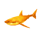 Fish #153 - Golden Shark - StreetPass Mii Plaza