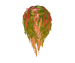Fish #159 - Seaweed - StreetPass Mii Plaza