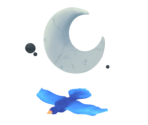 Moon & Bird - Celeste